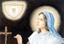 Beata Anna Maria Taigi, Pengaku Iman