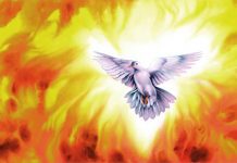 Sabda Kehidupan: Kamis, 24 Oktober 2019 (Lukas 12:49)