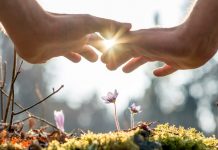 Sabda Kehidupan: Jumat, 18 Oktober 2019 (Lukas 10:9)